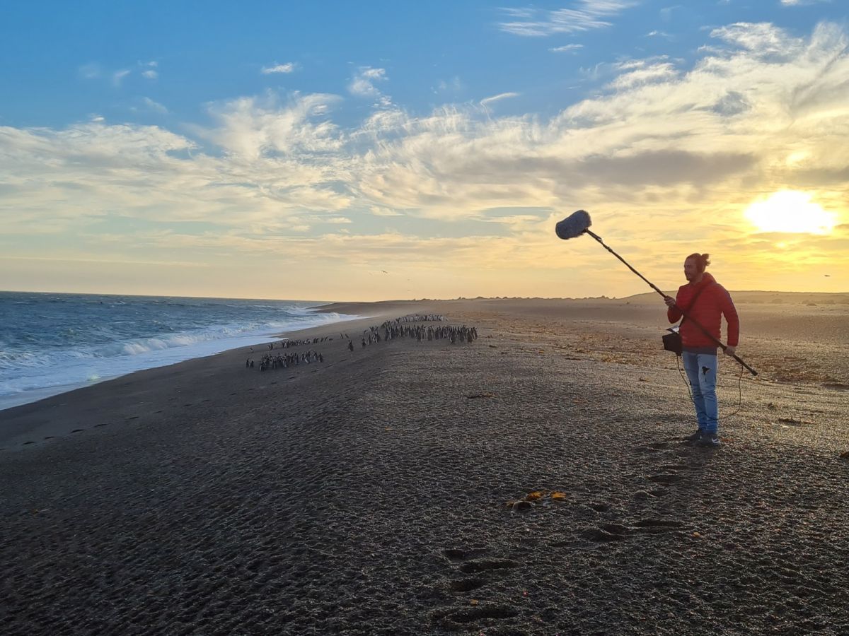 "El señor de los pingüinos": estreno en el Cine Gaumont del documental de Damián Martínez sobre conservación y ciencia