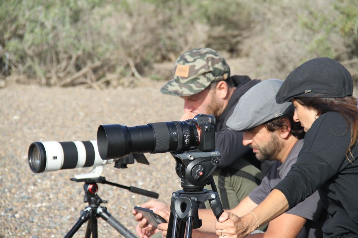 "El señor de los pingüinos": estreno en el Cine Gaumont del documental de Damián Martínez sobre conservación y ciencia