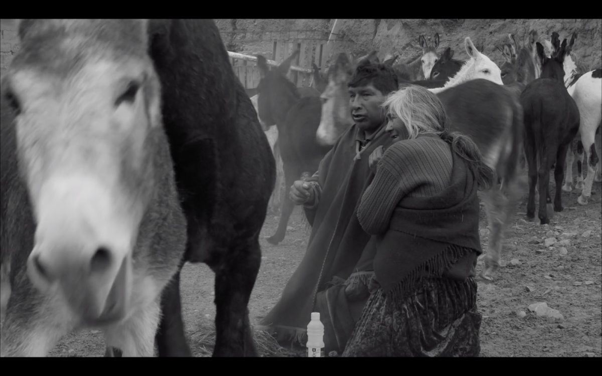 Crítica de "Ánimu", con la frescura y el poder de alimentar el canto y el espíritu