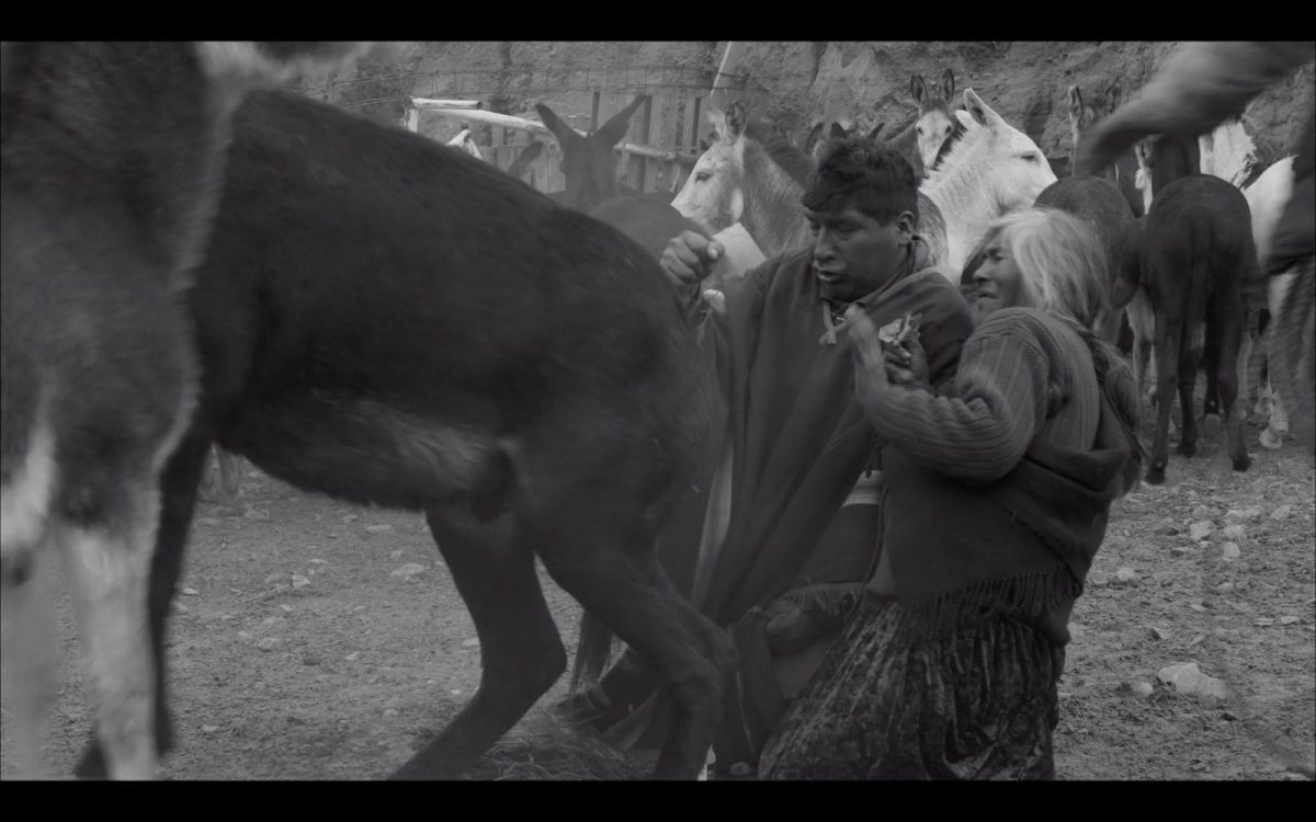 Crítica de "Ánimu", con la frescura y el poder de alimentar el canto y el espíritu