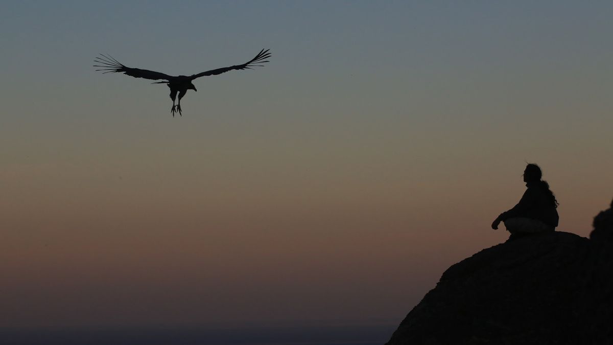 Crítica de “Entre la Tierra y el Cielo”: el vuelo del cóndor y el retorno al origen