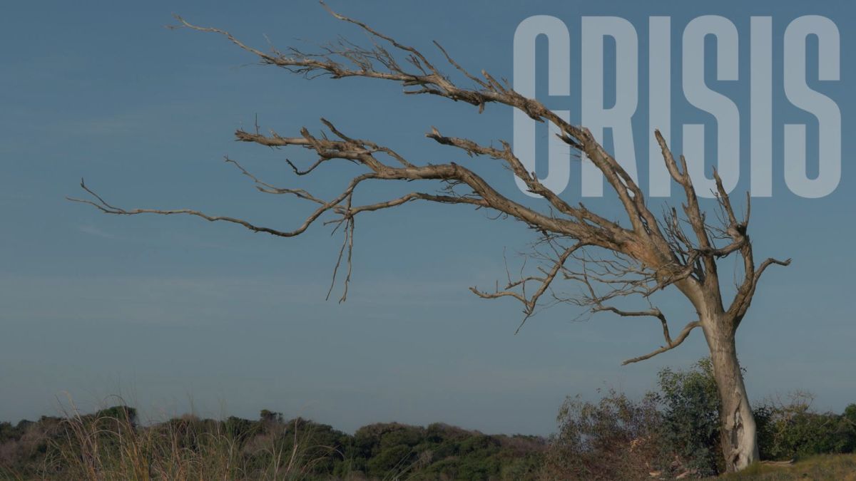 Crítica de "Crisis": Un viaje distópico de salud y dignidad