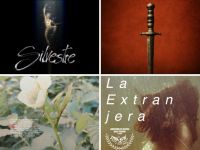 Todos los ganadores de la Convocatoria Internacional Entre Fronteras 2025