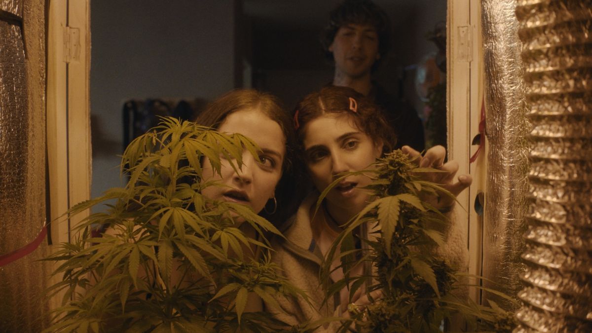 Crítica de "Verano Trippin": Una road movie femenina en clave de sátira