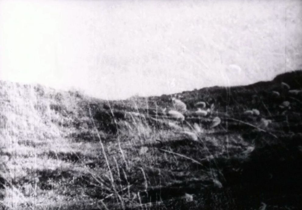 Bendita Tú Festival celebra su VIII edición con dos programas que dialogan con la tierra