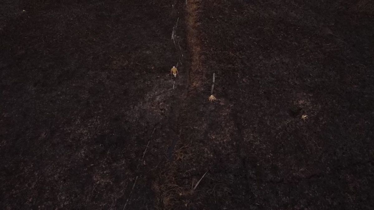 "Violencia(s)": Sebastián “Chapu” Toba y un cine que incomoda desde el corazón de Corrientes