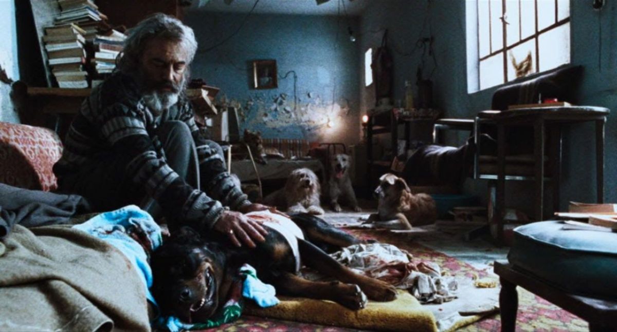 MUBI en octubre 2025: clásicos restaurados, nuevas series y colecciones imperdibles