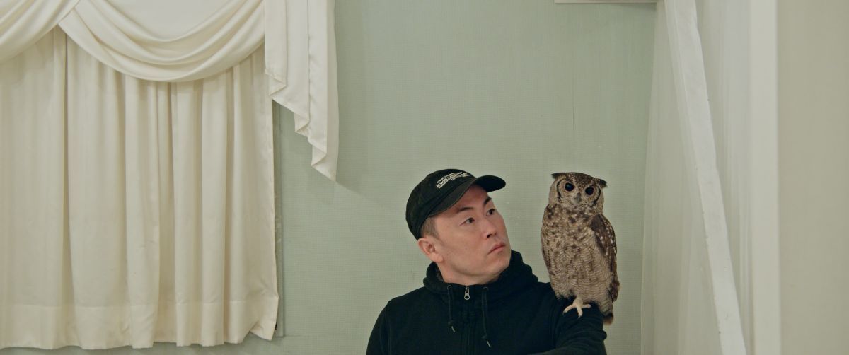 El documental como espejo del presente en la 70ª edición de la Semana Internacional de Cine de Valladolid 2025