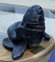 Abren las inscripciones para el 28° Festival Internacional de Cine de Punta del Este 2026