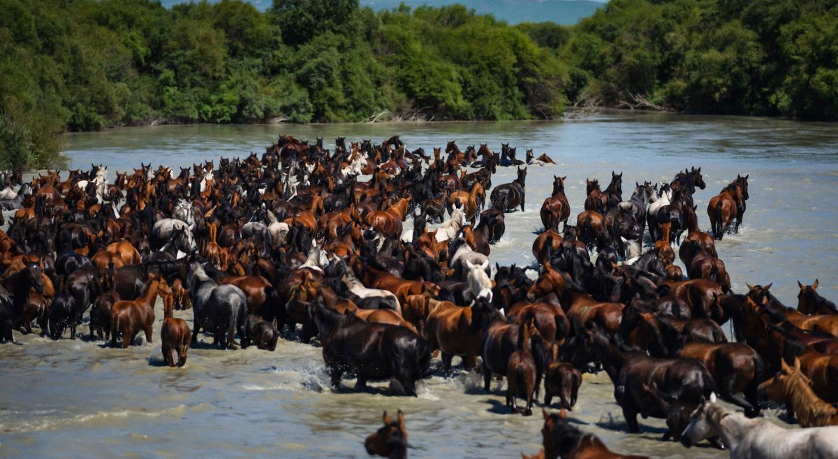 Crítica de “El descubridor de leyendas”: Jackie Chan y el peso de su propio mito