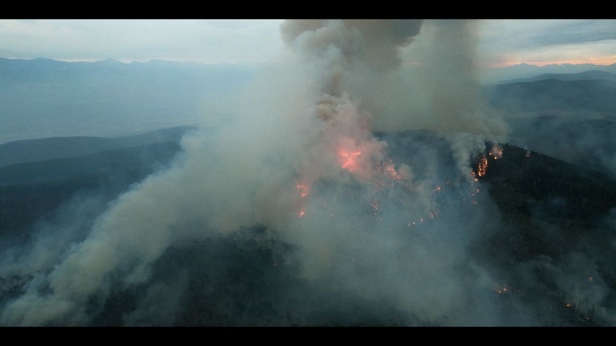 Crítica de "Brigadistas": cuando el cine observa a quienes custodian la naturaleza