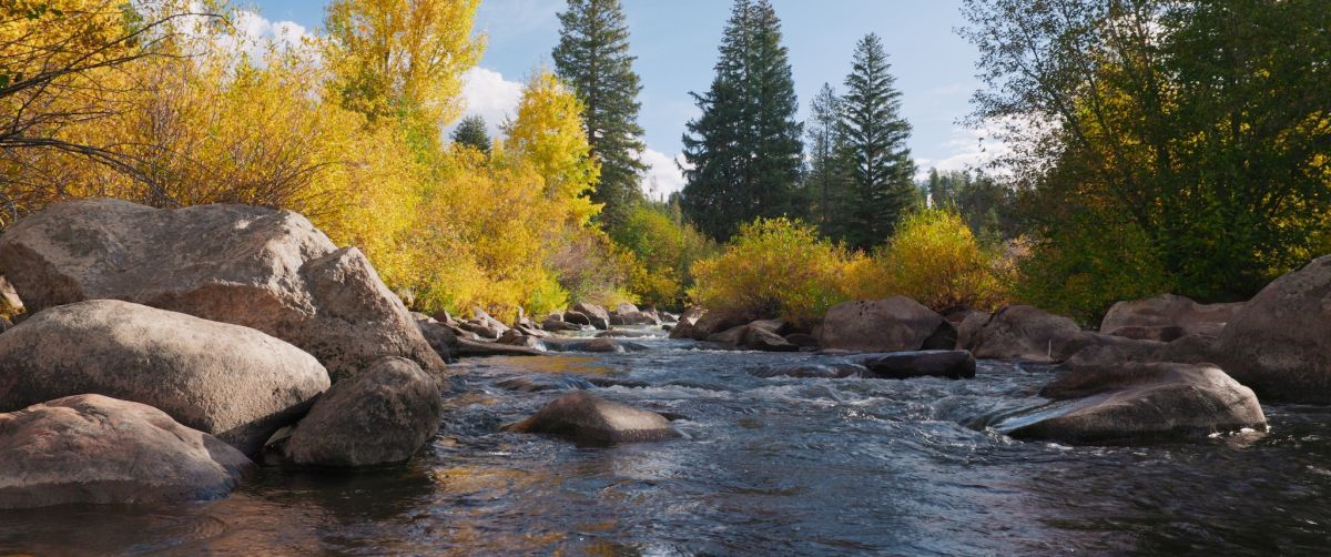 Crítica de "The American Southwest": El grito de los nativos hacia un futuro sostenible