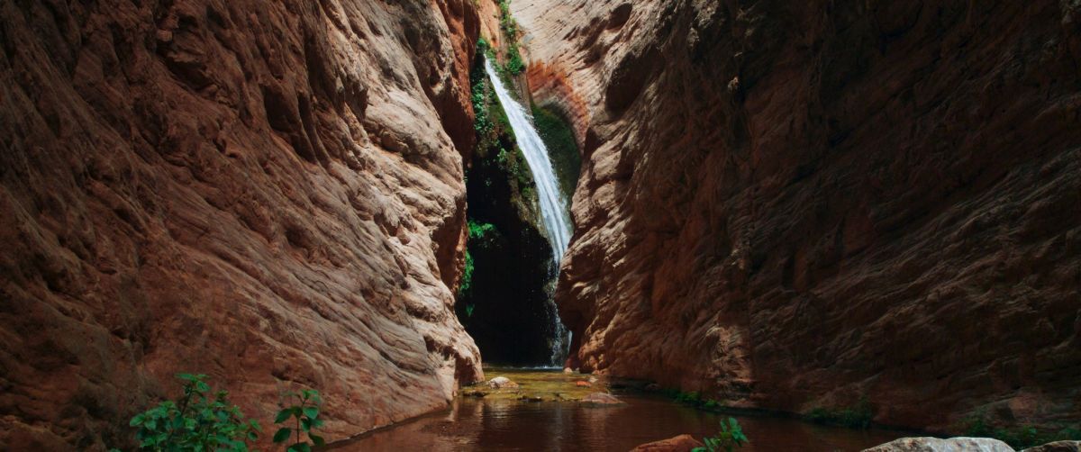 Crítica de "The American Southwest": El grito de los nativos hacia un futuro sostenible