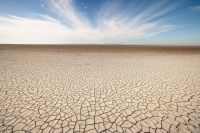 Crítica de "The American Southwest": El grito de los nativos hacia un futuro sostenible