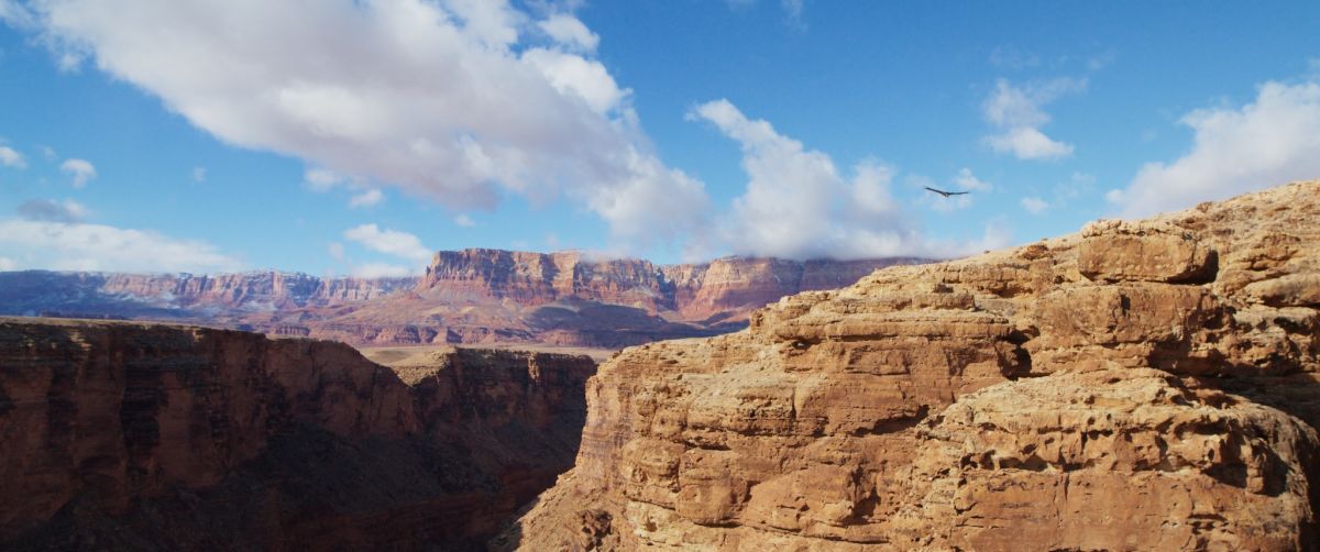 Crítica de "The American Southwest": El grito de los nativos hacia un futuro sostenible