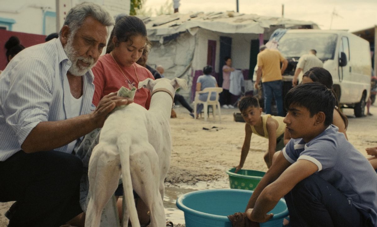 Crítica de "Ciudad sin sueño": Guillermo Galoe retrata la vida en la Cañada Real