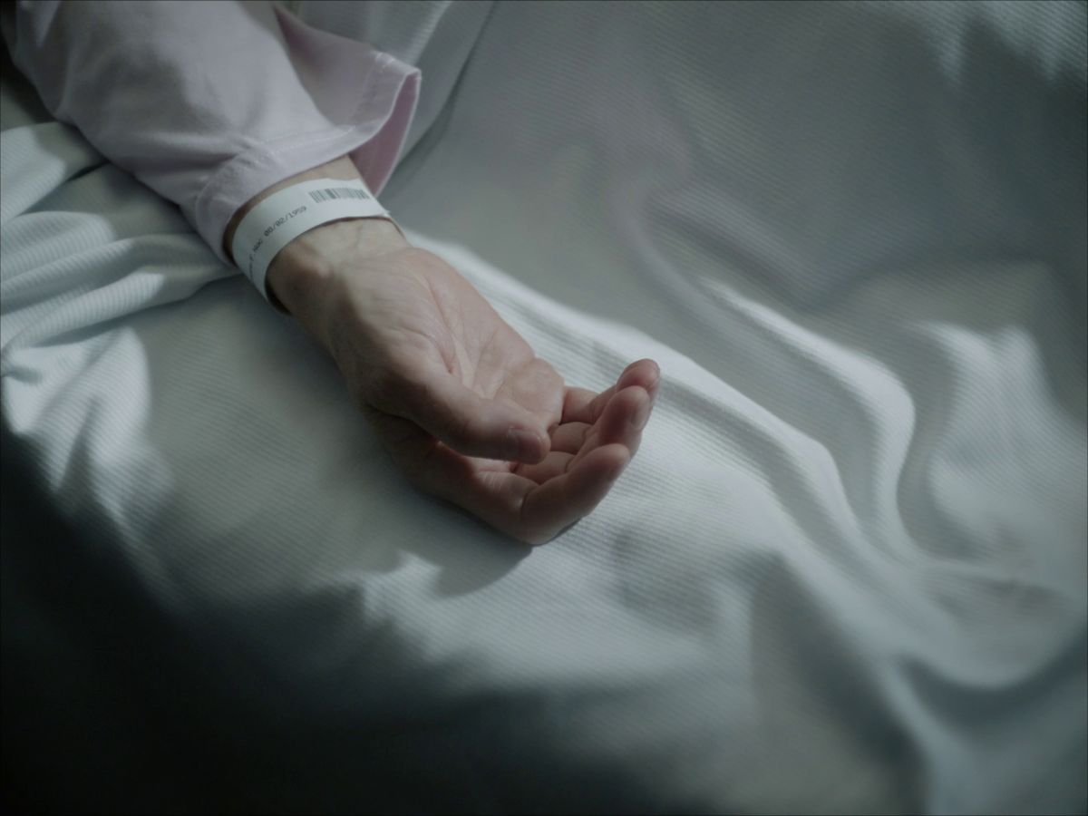 Todos los ganadores de la 67ª edición del ZINEBI 2025