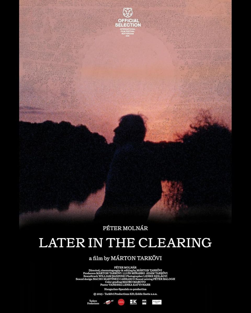 Crítica de "Cuando lleguemos al claro": Márton Tarkövi y el arte del detalle íntimo