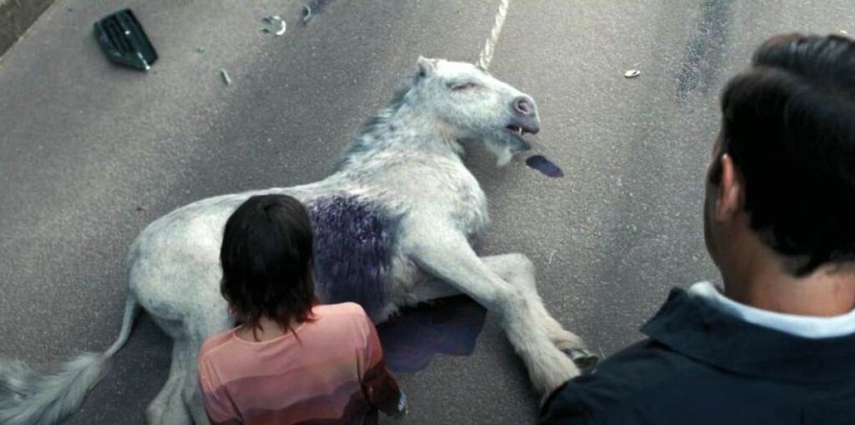 Crítica de “La muerte de un unicornio”: Paul Rudd y Jenna Ortega en una película rumbo al cine de culto