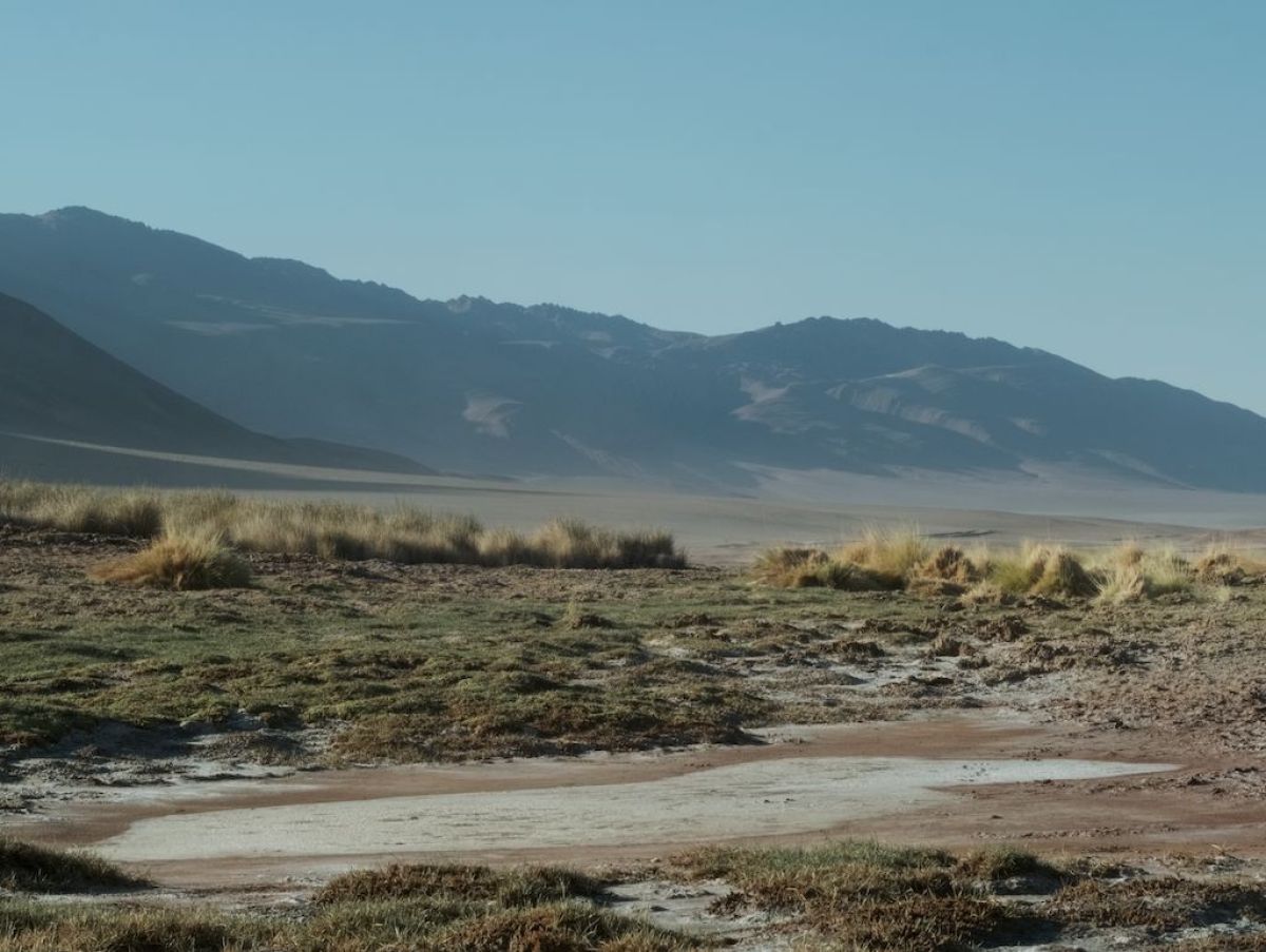 Crítica de "Los niños":  Julián Giulianelli  y el cuerpo como territorio de la memoria originaria