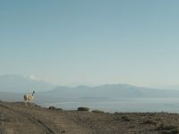 Crítica de "Los niños":  Julián Giulianelli  y el cuerpo como territorio de la memoria originaria