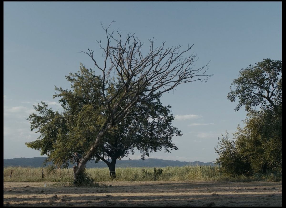 Crítica de "Barcos y Catedrales": Nicolás Aráoz navega en los abismos del corazón humano
