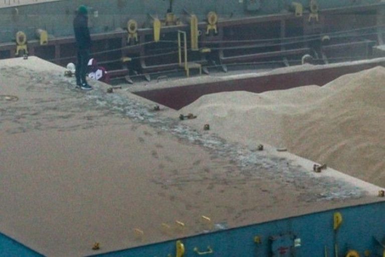 Crítica de "Argentina Sangra": Andrés Cedrón y el río Paraná como disputa política