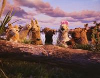 Crítica de "La llama que llama": un regreso anacrónico que evidencia el paso del tiempo