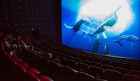 Por qué 4DX e IMAX crecen más rápido en Latinoamérica