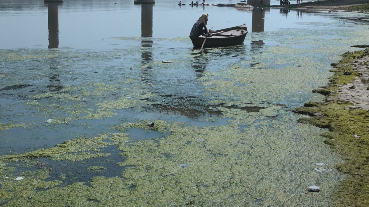 Crítica de “Dreamflow, la escuela está en peligro”: Educar como forma de resistencia en la India marginal