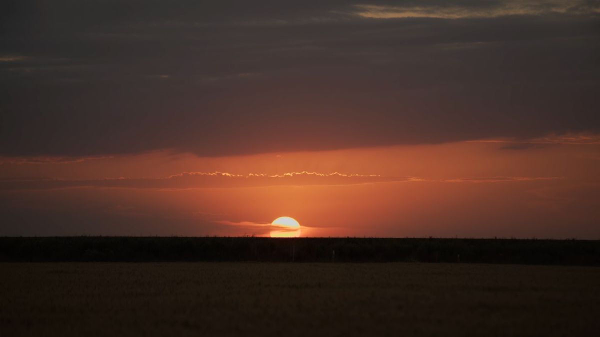 Crítica de “Una canción para mi tierra”: La música como una herramienta de aprendizaje