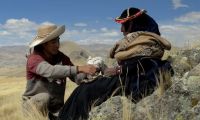 Perú despliega su cine contemporáneo en la Feria del Libro de Buenos Aires 2026