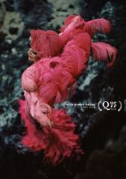 La Queer Palm anunció las películas seleccionadas para su edición 2026