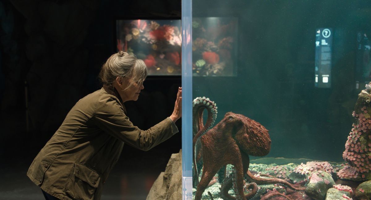 Crítica de “Criaturas luminosas”: Sally Field y una emotiva fábula narrada por un pulpo