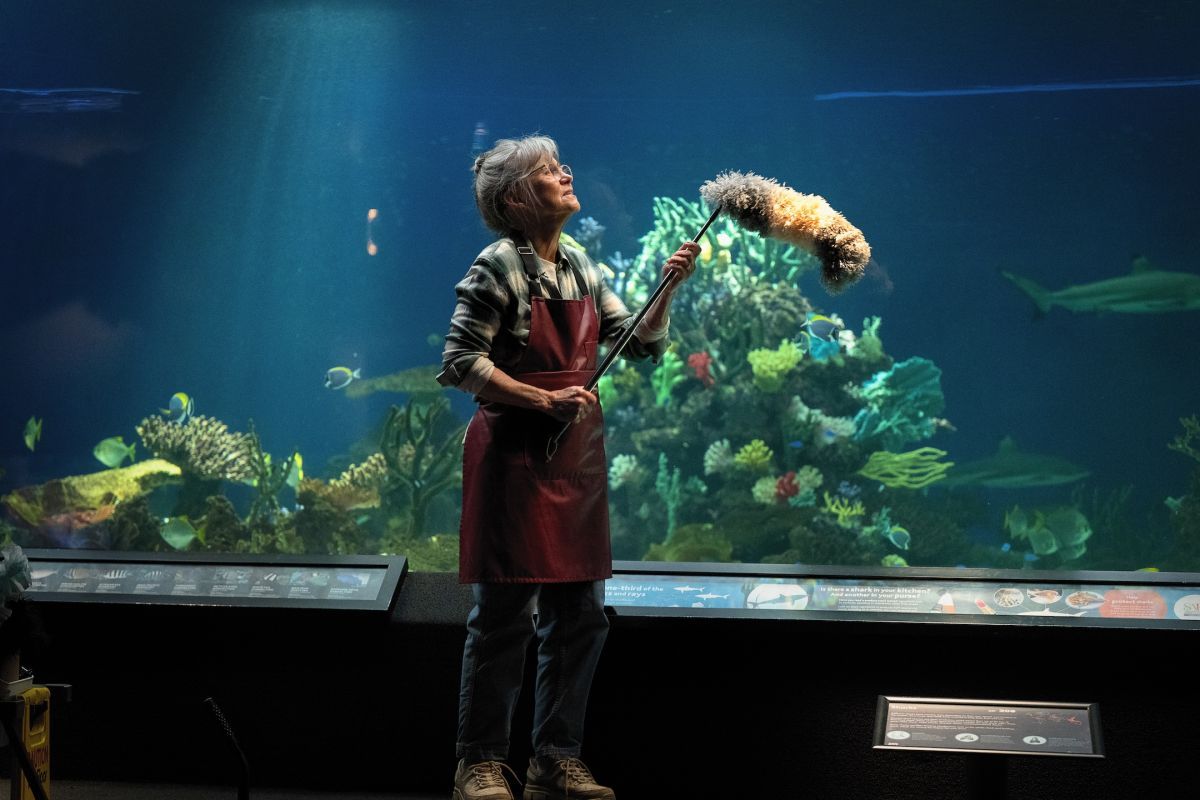 Crítica de “Criaturas luminosas”: Sally Field y una emotiva fábula narrada por un pulpo