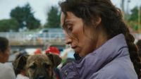 Todos los premios paralelos del Festival de Cannes 2026
