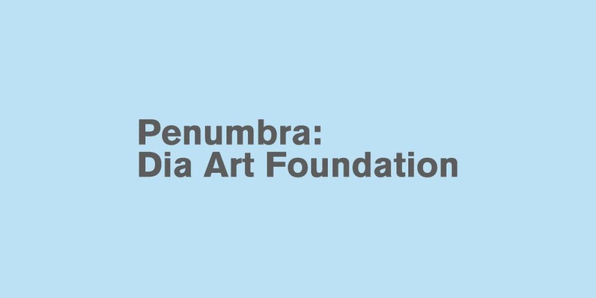 Penumbra: la colección Dia Art Foundation llega a Proa