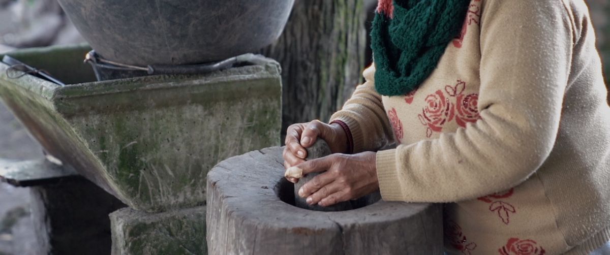 Crítica de "Tierra Citrus": Ayelén Agüero y la tristeza que viene de la tierra