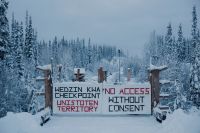 FINCA 2026: todas las películas ganadoras de la 8ª edición del Festival Internacional de Cine Ambiental