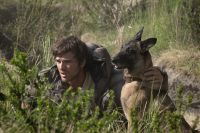 Crítica de "La guerra de los últimos": Jacob Elordi y el Ridley Scott más genérico