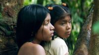 Crítica de "Donde comienza el río”: sobrevivir entre la violencia de la ciudad y la memoria de la selva