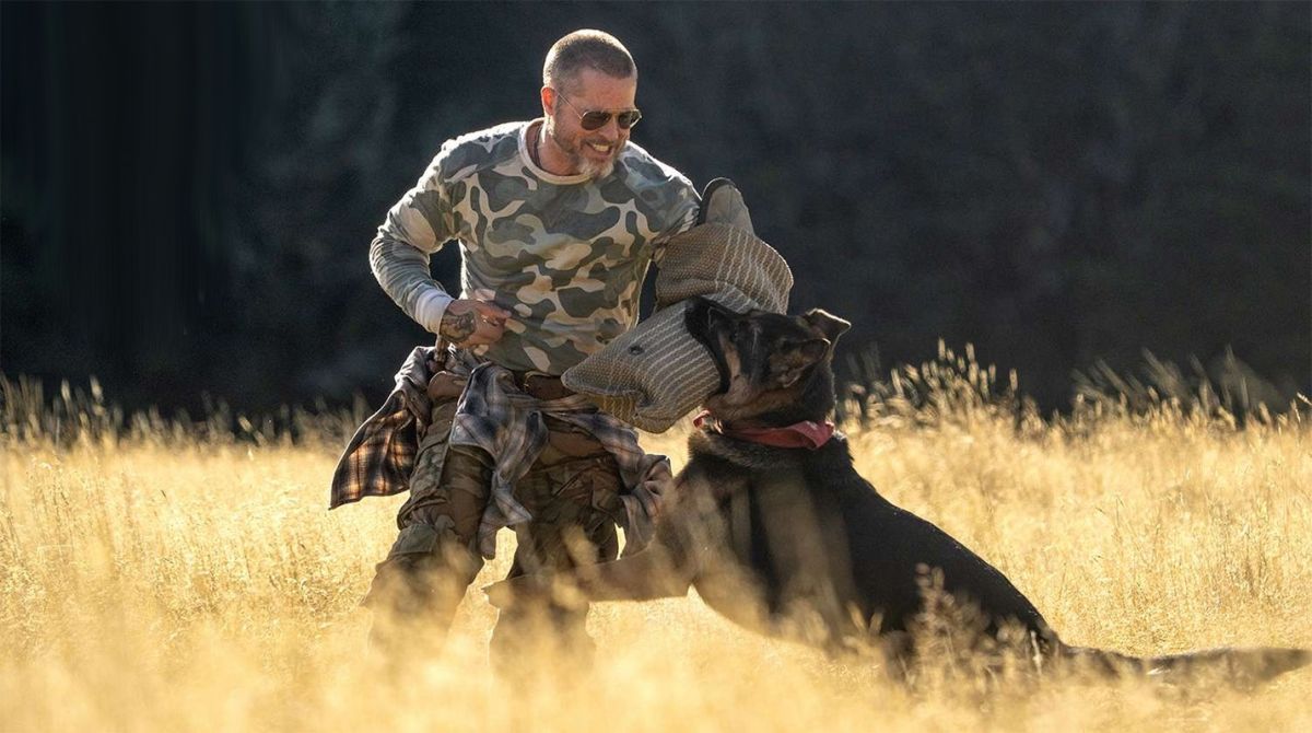 Crítica de “El corazón de la bestia”: la película del perro con Brad Pitt