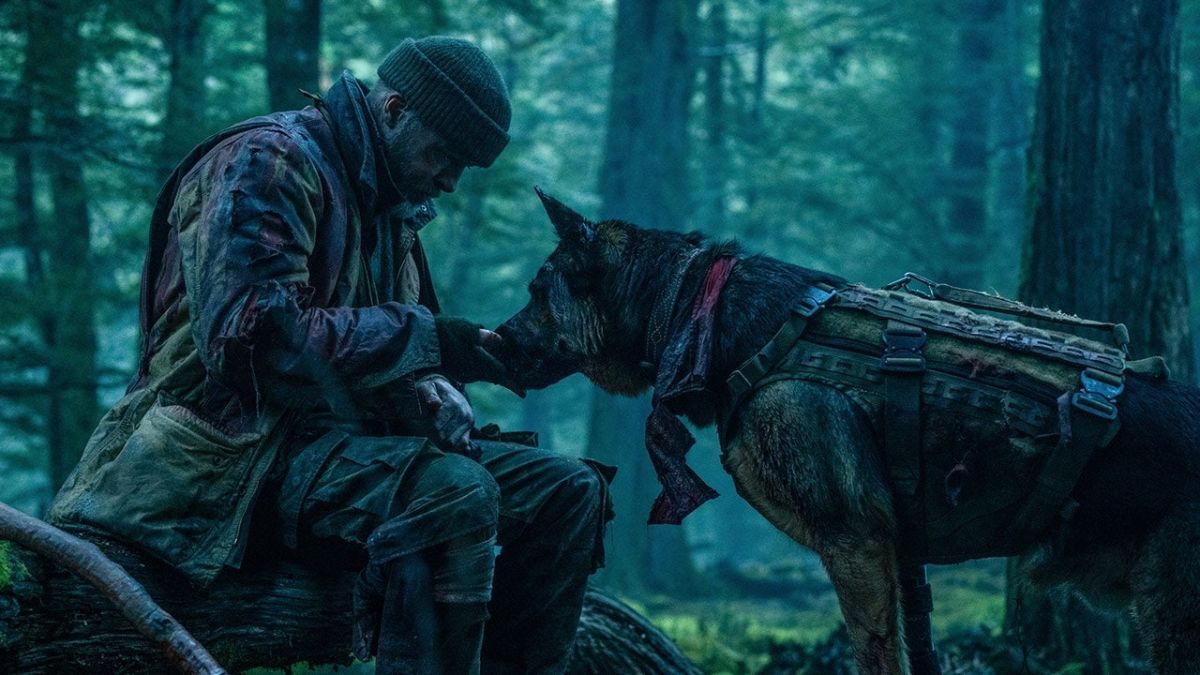 Crítica de “El corazón de la bestia”: la película del perro con Brad Pitt