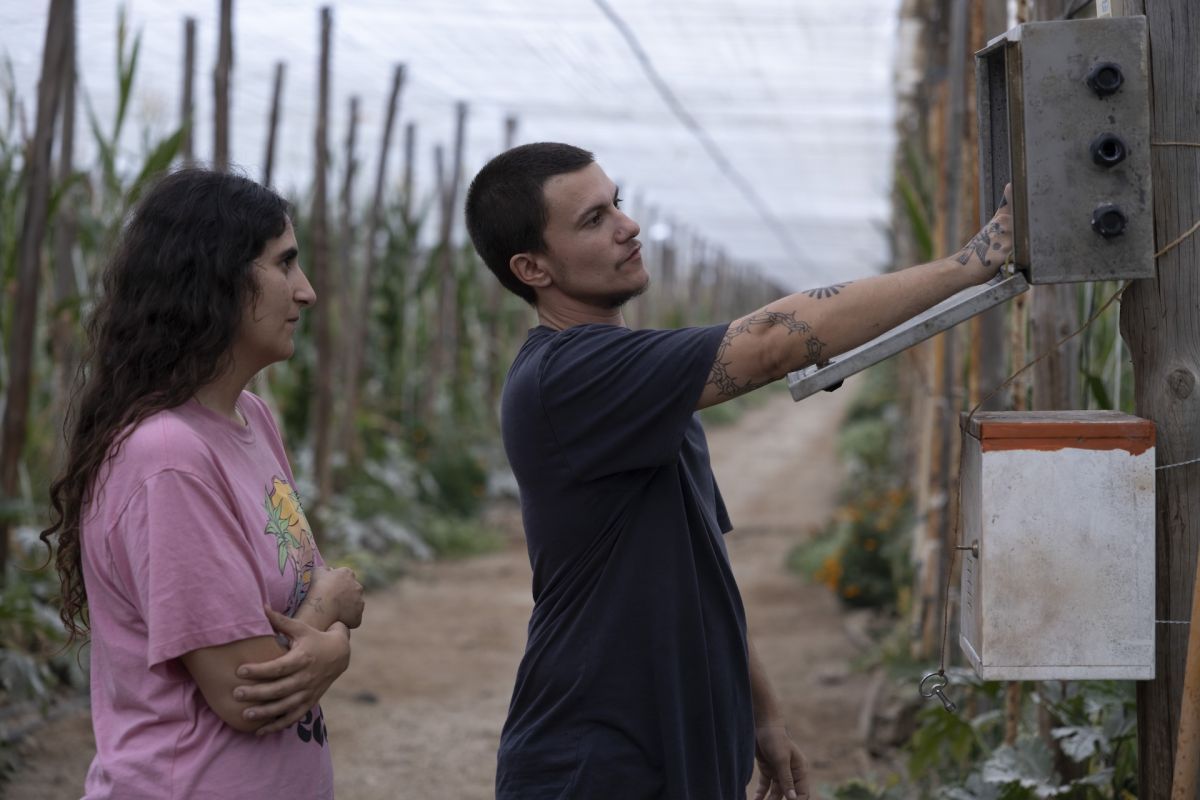 Crítica de “Iván & Hadoum”: la película queer de Ian de la Rosa sobre el amor, la xenofobia y la precariedad laboral