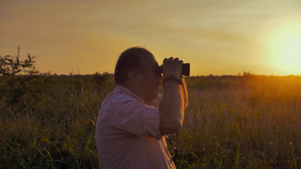 Crítica de "Los calvos": identidad, rumor y calvicie en el documental de Marcos Mossello y Elías Gismondi