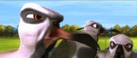 Crítica de "Plumíferos, aventuras voladoras": la libertad y la identidad como motores del relato
