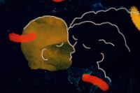 ANIMA 2026: todas las películas seleccionadas del Festival de Animación de Córdoba
