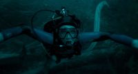 Crítica de “La caída de la ballena”: tragado por una película absurda
