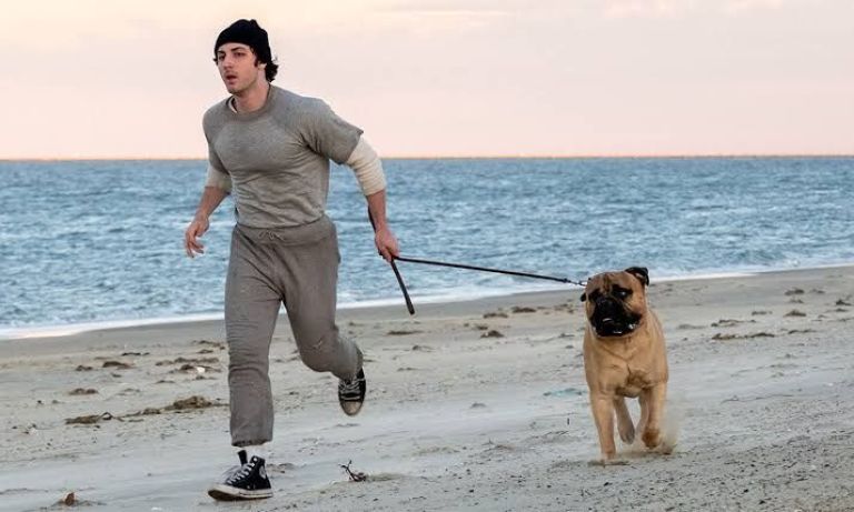 Crítica de “Yo soy Rocky”: la historia detrás de Sylvester Stallone