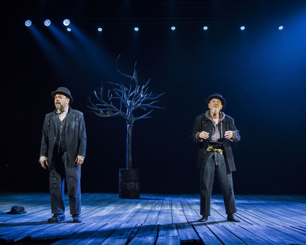 Crítica de "Esperando a Godot": Helena Pimenta y la vigencia terrenal de Beckett